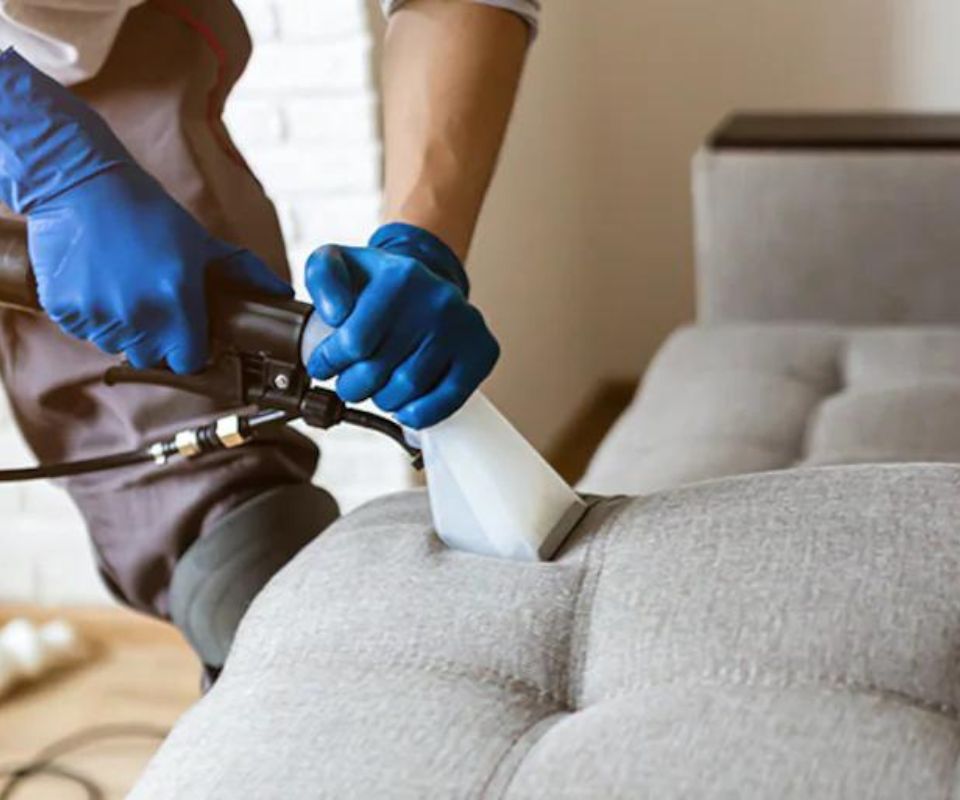 Sofa Cleaning in Surrey