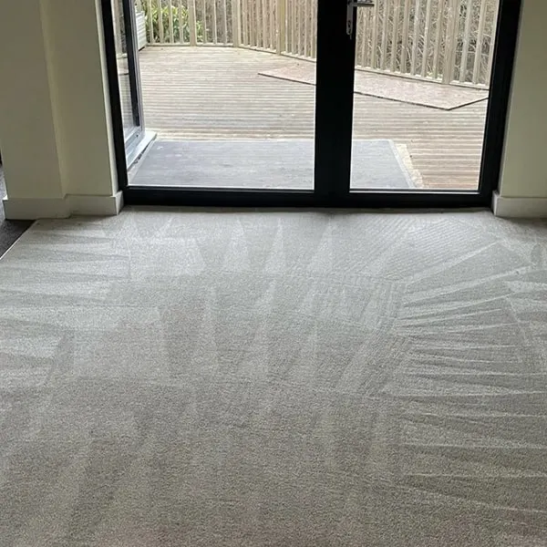 carpet cleaning woking