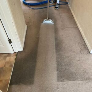 carpet cleaning Woking